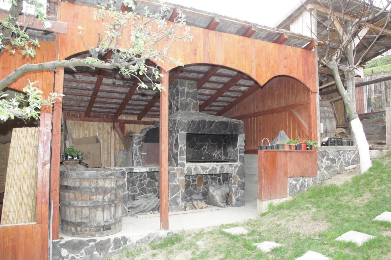 Дома для отпуска Casa dintre Vii Jidvei-16
