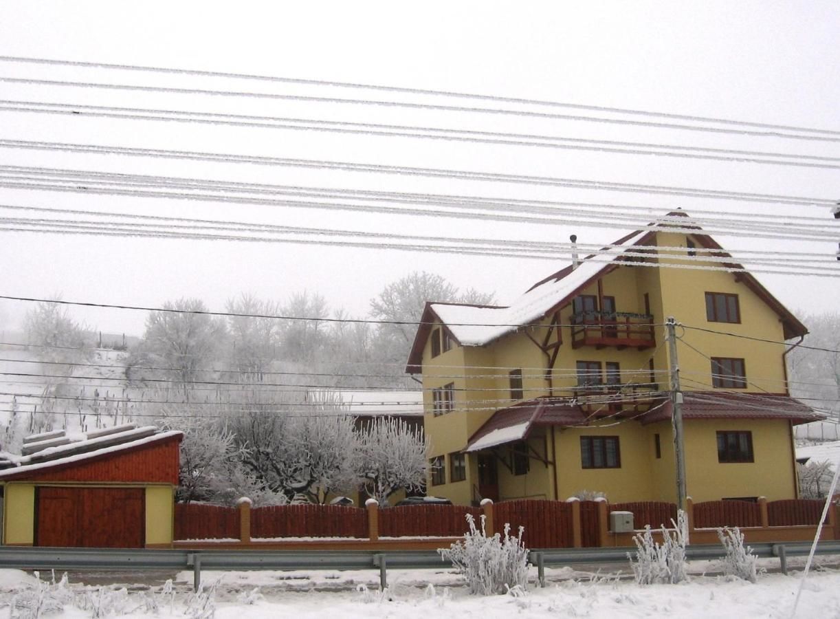 Дома для отпуска Casa dintre Vii Jidvei-5